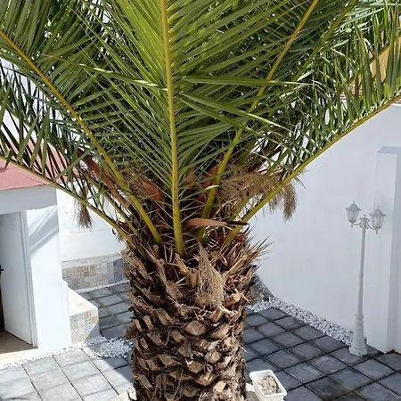 A House With A Garden, Garage, Sauna, And Jacuzzi Apartment